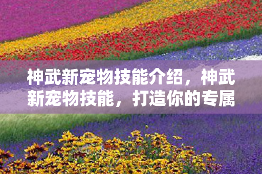 神武新宠物技能介绍，神武新宠物技能，打造你的专属战斗伙伴