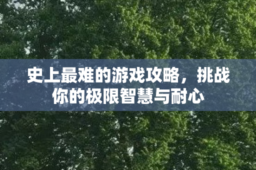 史上最难的游戏攻略,挑战你的极限智慧与耐心 史上最难的游戏攻略,挑战你的极限智慧与耐心