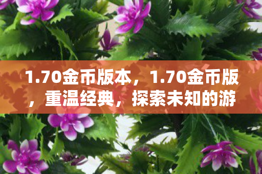 1.70金币版本,1.70金币版,重温经典,探索未知的游戏世界 1.70金币版本,1.70金币版,重温经典,探索未知的游戏世界