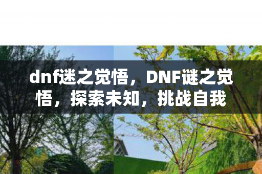 dnf迷之觉悟，DNF谜之觉悟，探索未知，挑战自我