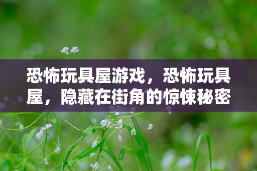 恐怖玩具屋游戏,恐怖玩具屋,隐藏在街角的惊悚秘密 恐怖玩具屋游戏,恐怖玩具屋,隐藏在街角的惊悚秘密