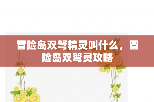 冒险岛双弩精灵叫什么，冒险岛双弩灵攻略