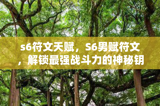 s6符文天赋,S6男赋符文,解锁最强战斗力的神秘钥匙 s6符文天赋,S6男赋符文,解锁最强战斗力的神秘钥匙