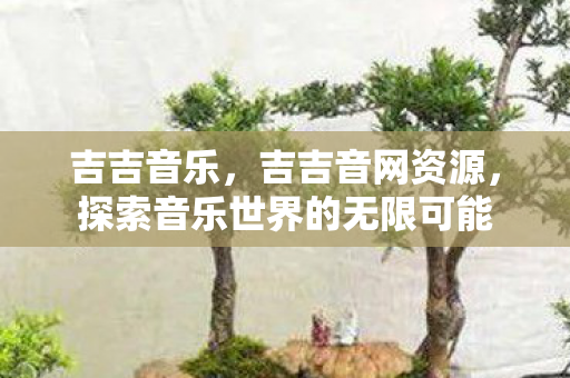 吉吉音乐，吉吉音网资源，探索音乐世界的无限可能
