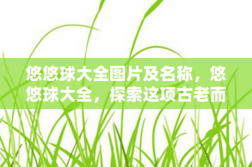 悠悠球大全图片及名称,悠悠球大全,探索这项古老而有趣的运动 悠悠球大全图片及名称,悠悠球大全,探索这项古老而有趣的运动