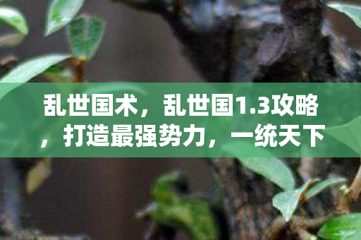 乱世国术,乱世国1.3攻略,打造最强势力,一统天下! 乱世国术,乱世国1.3攻略,打造最强势力,一统天下!