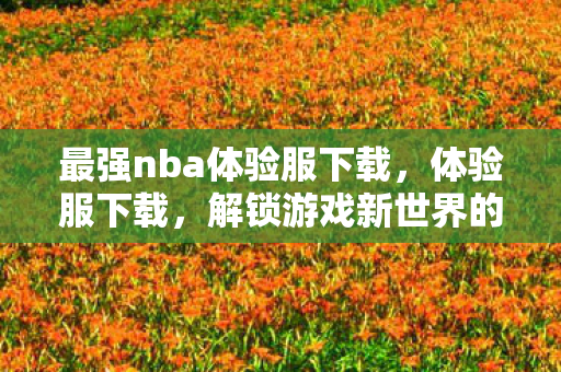 最强nba体验服下载，体验服下载，解锁游戏新世界的钥匙