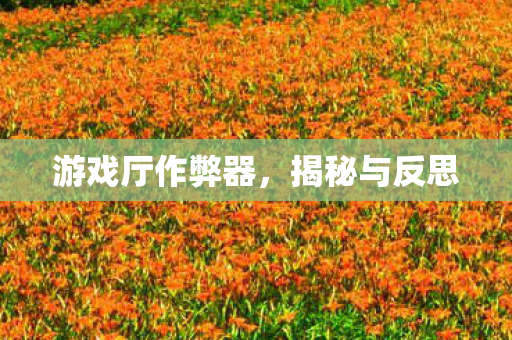 游戏厅作弊器,揭秘与反思 游戏厅作弊器,揭秘与反思