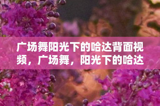 广场舞阳光下的哈达背面视频图片