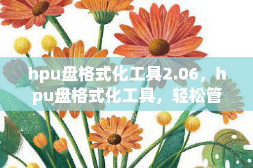 hpu盘格式化工具2图片