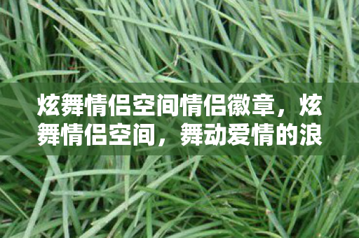 炫舞情侣空间情侣徽章,炫舞情侣空间,舞动爱情的浪漫篇章 炫舞情侣空间情侣徽章,炫舞情侣空间,舞动爱情的浪漫篇章