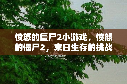 愤怒的僵尸2小游戏，愤怒的僵尸2，末日生存的挑战与希望