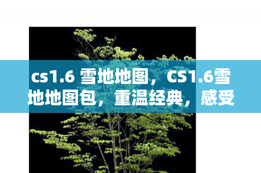 cs1.6 雪地地图,CS1.6雪地地图包,重温经典,感受冬日战斗的魅力 cs1.6 雪地地图,CS1.6雪地地图包,重温经典,感受冬日战斗的魅力