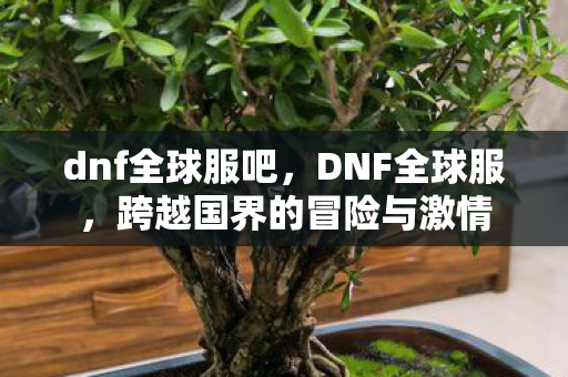 dnf全球服吧,DNF全球服,跨越国界的冒险与激情 dnf全球服吧,DNF全球服,跨越国界的冒险与激情