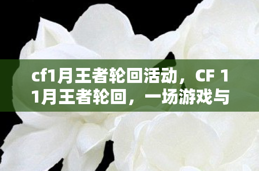 cf1月王者轮回活动，CF 11月王者轮回，一场游戏与文化的盛宴