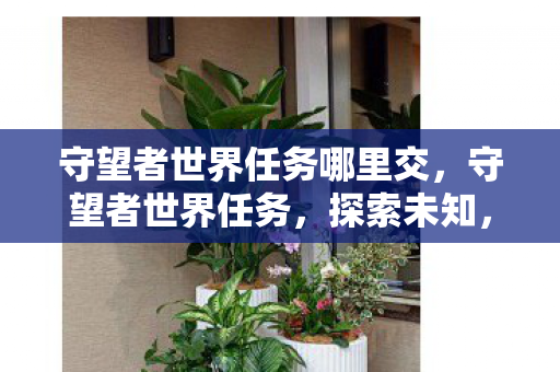 守望者世界任务哪里交,守望者世界任务,探索未知,守护和平 守望者世界任务哪里交,守望者世界任务,探索未知,守护和平