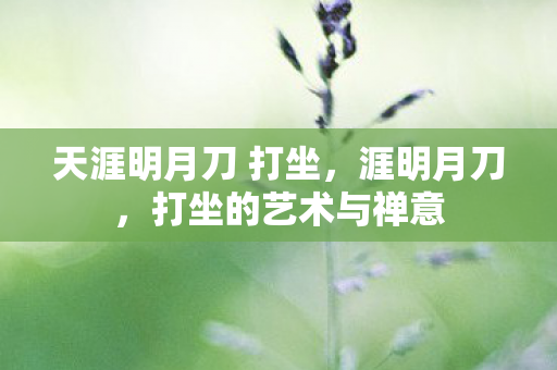 天涯明月刀 打坐图片