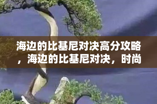 海边的比基尼对决高分攻略，海边的比基尼对决，时尚与自信的较量