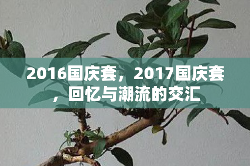 2016国庆套,2017国庆套,回忆与潮流的交汇 2016国庆套,2017国庆套,回忆与潮流的交汇