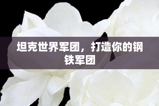 坦克世界军团,打造你的钢铁军团 坦克世界军团,打造你的钢铁军团