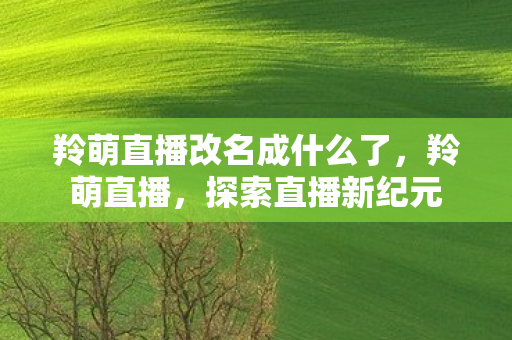 羚萌直播改名成什么了，羚萌直播，探索直播新纪元