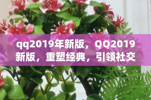 qq2019年新版，QQ2019新版，重塑经典，引领社交新风尚