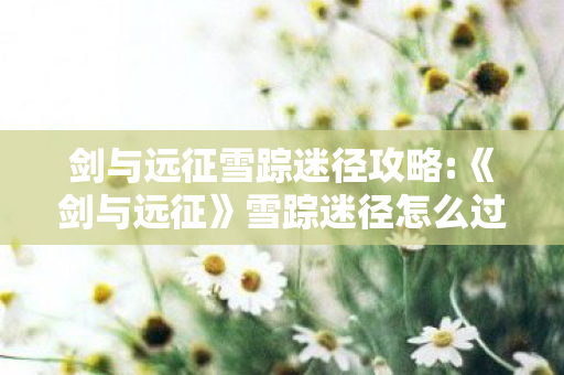 剑与远征雪踪迷径攻略:《剑与远征》雪踪迷径怎么过，剑与远征，雪踪迷径的冒险之旅