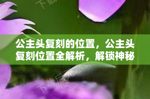 解锁神秘宝藏的终极指南图片