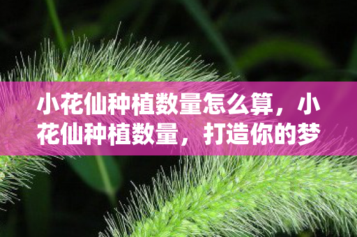 小花仙种植数量怎么算，小花仙种植数量，打造你的梦幻花园