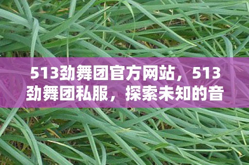 513劲舞团官方网站，513劲舞团私服，探索未知的音乐与舞蹈世界
