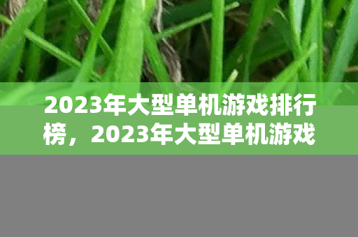 2023年大型单机游戏排行榜图片