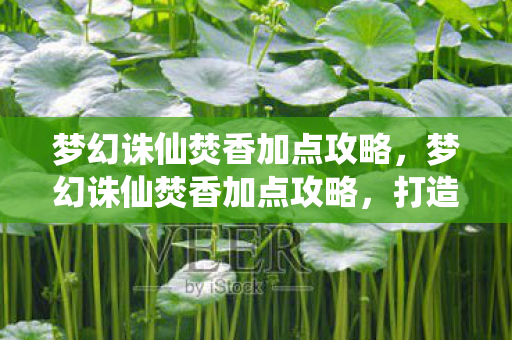 梦幻诛仙焚香加点攻略,梦幻诛仙焚香加点攻略,打造最强输出角色 梦幻诛仙焚香加点攻略,梦幻诛仙焚香加点攻略,打造最强输出角色