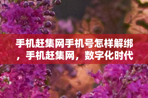 手机赶集网手机号怎样解绑，手机赶集网，数字化时代的便捷生活