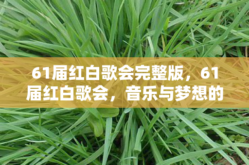 61届红白歌会完整版图片