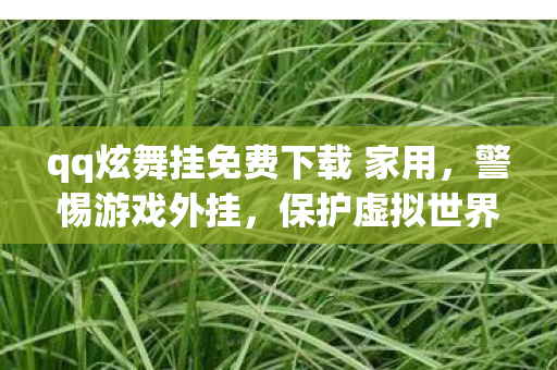 qq炫舞挂免费下载 家用，警惕游戏外挂，保护虚拟世界的公平与正义