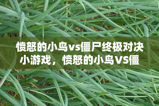 愤怒的小鸟vs僵尸终极对决小游戏，愤怒的小鸟VS僵尸，一场跨时代的对决