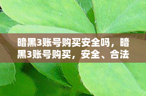 暗黑3账号购买安全吗，暗黑3账号购买，安全、合法与高效的选择指南
