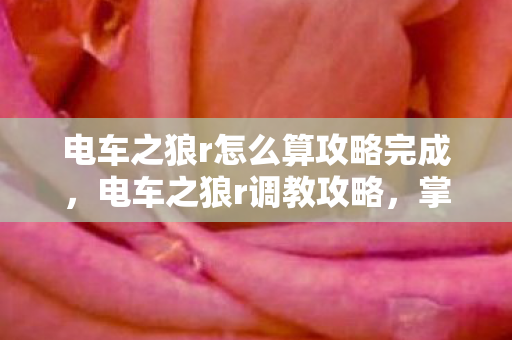 电车之狼r怎么算攻略完成，电车之狼r调教攻略，掌握技巧，提升游戏体验