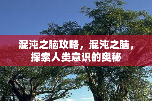 混沌之脑攻略,混沌之脑,探索人类意识的奥秘 混沌之脑攻略,混沌之脑,探索人类意识的奥秘