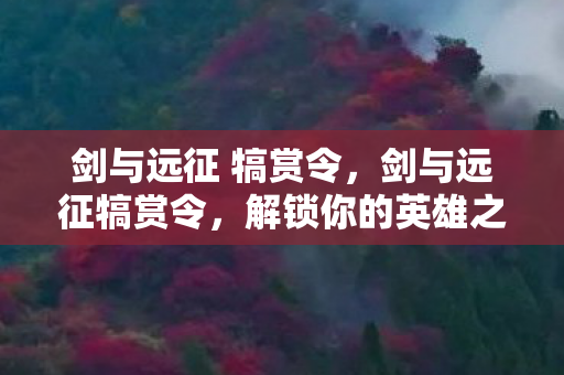 剑与远征 犒赏令图片