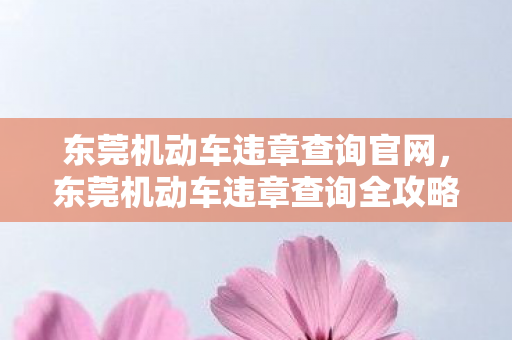 东莞机动车违章查询官网，东莞机动车违章查询全攻略，轻松掌握，避免罚款！