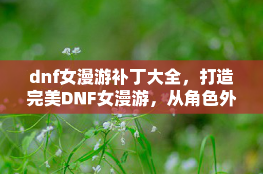 dnf女漫游补丁大全,打造完美DNF女漫游,从角色外观到战斗力的全面升级 dnf女漫游补丁大全,打造完美DNF女漫游,从角色外观到战斗力的全面升级