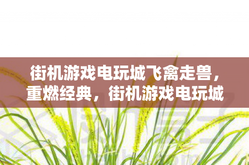 街机游戏电玩城飞禽走兽，重燃经典，街机游戏电玩城的回忆与复兴