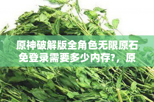 原神破解版全角色无限原石免登录需要多少内存图片