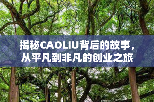 揭秘CAOLIU背后的故事图片