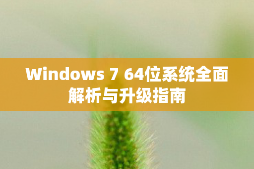 Windows 7 64位系统全面解析与升级指南