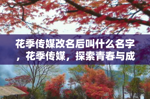 花季传媒改名后叫什么名字,花季传媒,探索青春与成长的无限可能 花季传媒改名后叫什么名字,花季传媒,探索青春与成长的无限可能
