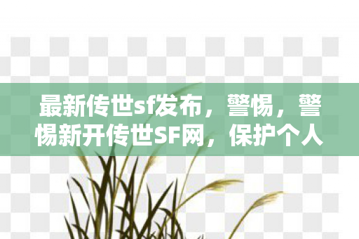 最新传世sf发布，警惕，警惕新开传世SF网，保护个人信息安全