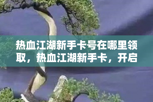 热血江湖新手卡号在哪里领取图片