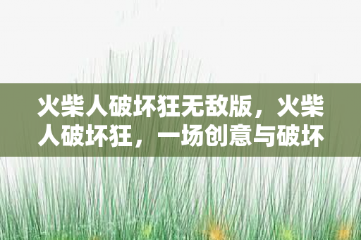 火柴人破坏狂无敌版，火柴人破坏狂，一场创意与破坏的盛宴